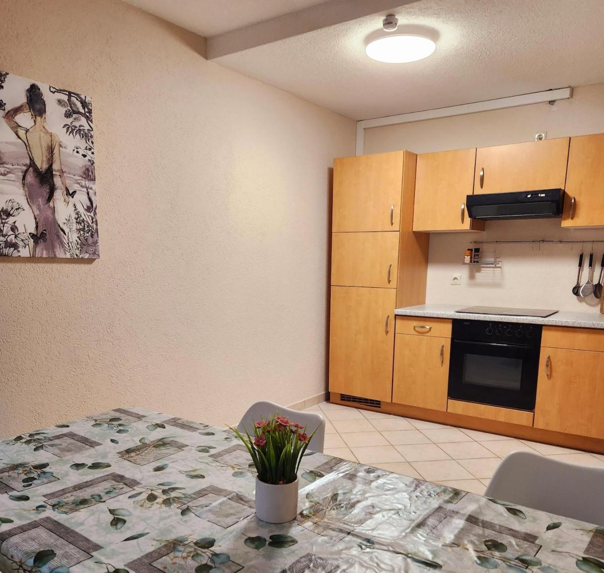קמניץ Sj Apartment מראה חיצוני תמונה